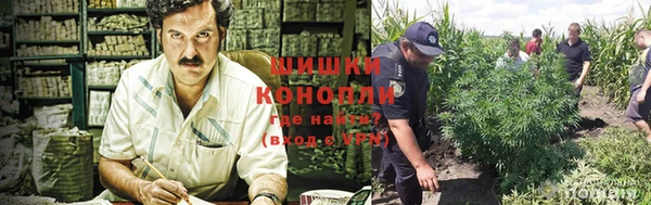 spice Балахна